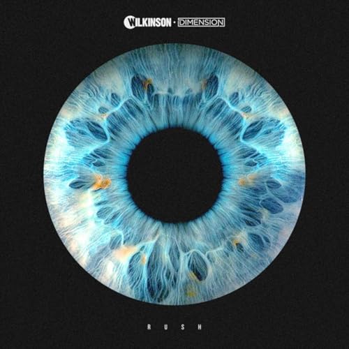 Wilkinson & Dimension