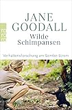 Wilde Schimpansen: Verhaltensforschung am Gombe-Strom