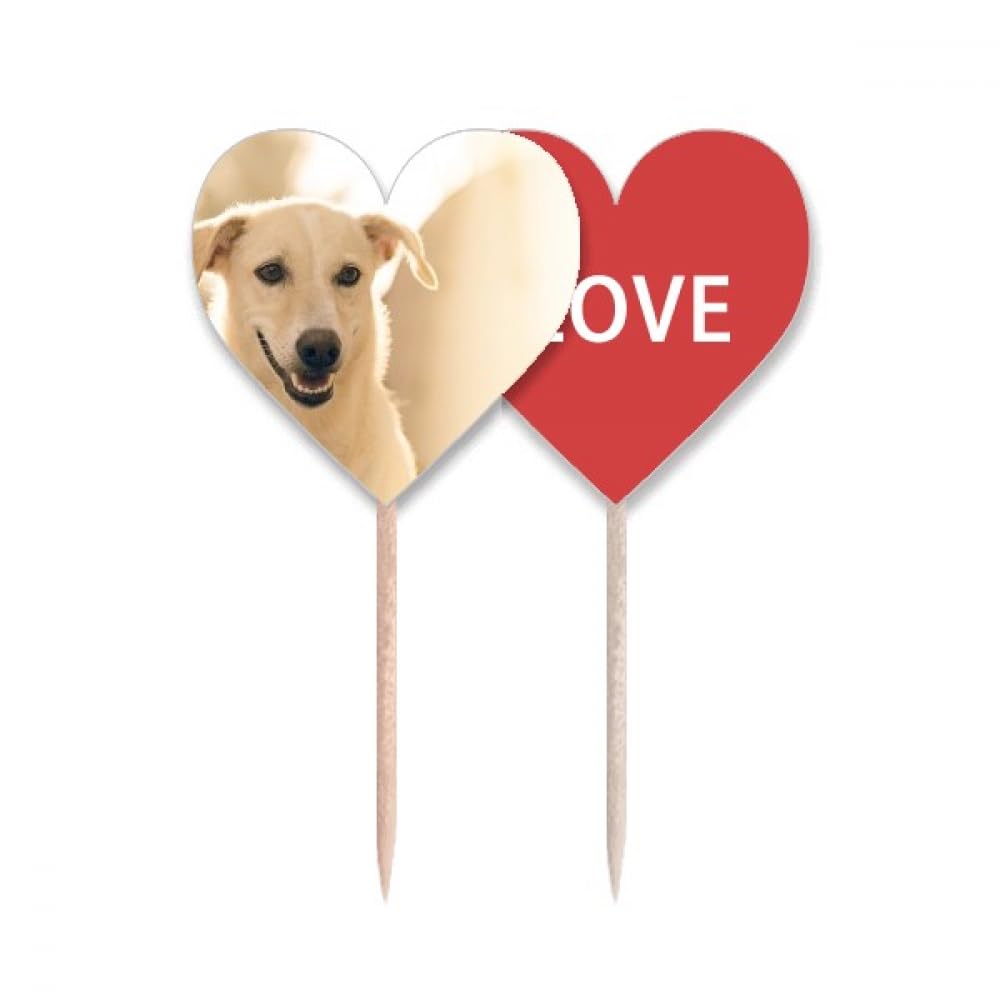 Pique-dents en forme de chien Blanc distributeur cure-dents design table