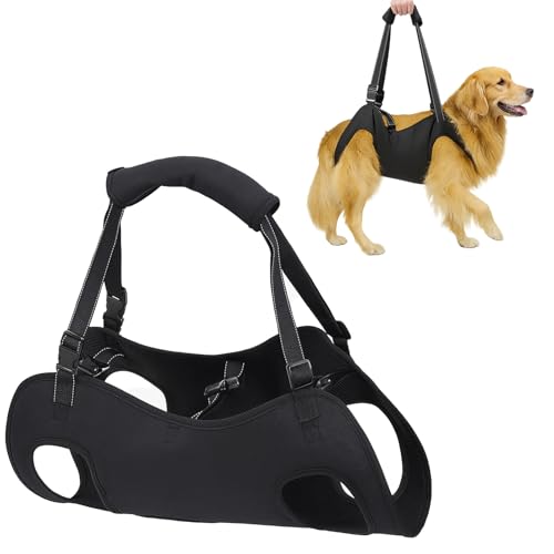 Hunde Tragehilfe, Tragehilfe Hund Treppe, Mobilitätshilfen für Hund Hebegeschirr für Hinterbeine Hüftstütze mit Griffen Sicherheitsunterstützung für Behinderte, Verletzte Oder Ältere Hunde (M)