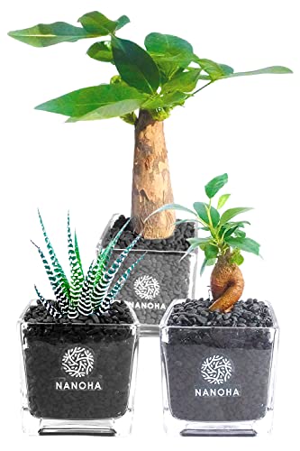 KW} pL \̊ 3Zbg OX yg킸qI ϗtA { ~j nChJ`[  