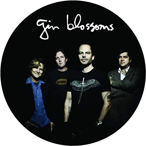 Album Art for Live In Concert - Picture Disc Vinyl by Gin Blossoms