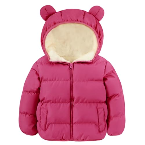 Image of BFUSTYLE Baby Toddler Coats Boys Girls Bear Ear Hooded Puffer Jackets 6M-5T