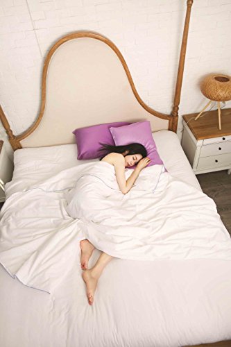 Silk Camel Luxury Comforter Filled With 100% Natural Long Strand Mulberry Silk For Fall/Autumn - Queen Size #TOP2