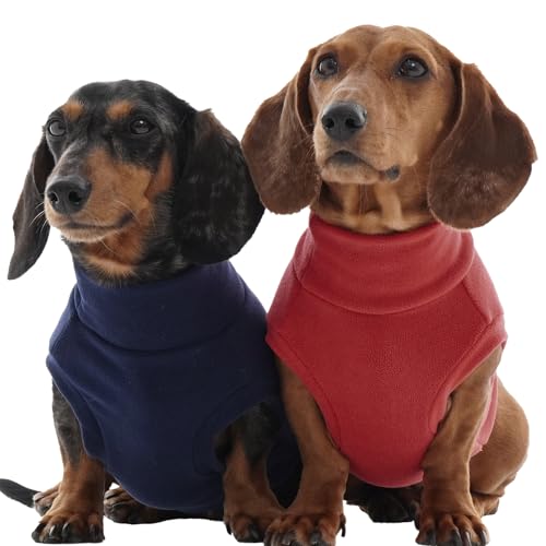 IKIPUKO 2pbN pZ[^[ ~ t[X XEFbgVc LkxXg vI[o[ p  g ybg pW} NX}X Meidum and ^