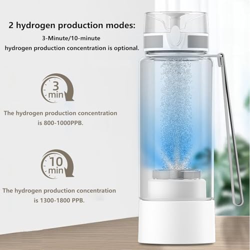 Bouteille d'eau à hydrogène portable SPE 450ml noire