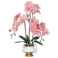 3p- Pink- White Goldvase