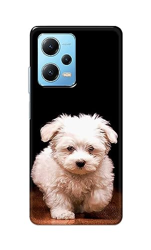 Image of PRINTFIDAA� Printed Hard Back Cover Case for Mi Redmi Note 12 5G Back Cover (Puppy Dog) -2808