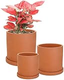 maceta redonda blanca Hogar de tus plantas: funcional para ambos espacios exteriores e interiores. Perfecto para cultivar verduras, hierbas, suculentas y flores en el balcón o en el jardín.
