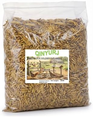 Qinyurj Dried Black Soldier Fly Larvae, 85X More Calcium Than Mealworms High Protein Chicken Feed & Treats, Non-GMO for Chicken Ducks Birds