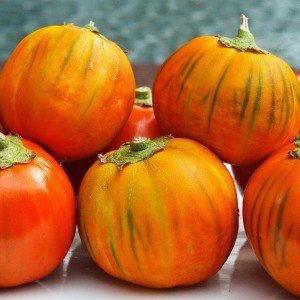 Turkish Heirloom Heritage Aubergine Eggplant Seeds. Small Round Orange Striped. JandL