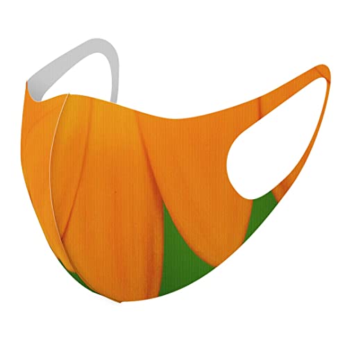 [igsticker] �f�U�C�� �}�X�N �Q���Z�b�g �|���G�X�e�� �􂦂� �z�}�X�N XL�T�C�Y �傫�� �j���p 023342 �Ԃт� �t�����[ �ʐ^