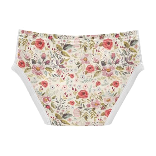 Boys' Exclusive Briefs Toddler Underwear 95% Combed Cotton Boxerbriefs 2T Rose Pattern 472