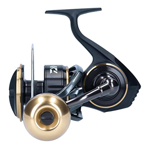 Daiwa BG 14000-H-ARK Compagnon Idéal pour Vos Sessions de Pêche