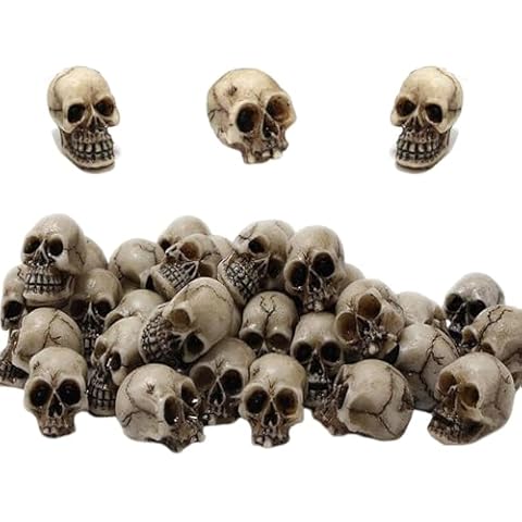 CEZKFH Mini crânes décoratifs - Lot de 20 Cover