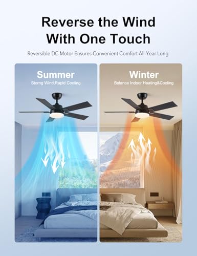 Image of Rayqueen 42 Inch Black Ceiling Fans with Lights and Remote,Includes Downrod