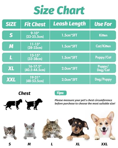 FAYOGOO Cat Harness and Lead Set Escape Proof for Medium Large Cat Dog Outdoor Walking Step In Breathable Soft with Leash Easy to Put On with Reflective - Image 2