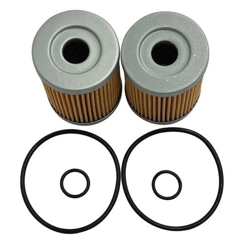 Filtre à carburant haute filtration pour scooter AN250 et moto SP125