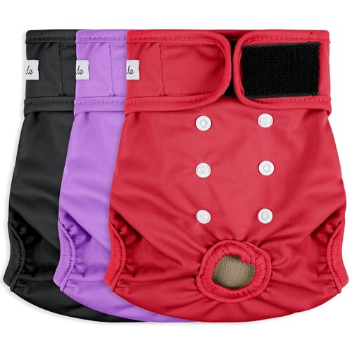 Image of Female Dog Diapers - Reusable Diapers for Doggie in Heat - Highly Absorbent for Pet Incontinence with Adjustable Snaps (Pack of 3) Red Black Purple, L