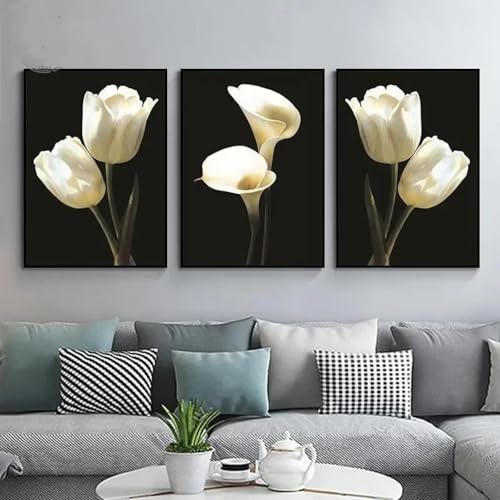 Toile calla lys blanc et noir tableau deco salon 30x45 cm sans cadre