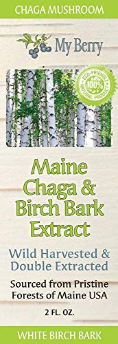 Chaga Mushroom Extract Liquid, Maine Chaga & Birch Bark Extract, Natural Source Of Betulin From White Birch Bark, 2Oz, Wild Harvested Chaga, Double Extracted Tincture #TOP3