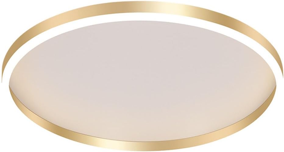 Modern Flush Mount Ceiling Light Ultra Thin Acrylic Lamp Dimmable Ceiling Light Fixture with Remote Control Light Ceiling Lamp for Bedroom, Kitchen, Hallway, Laundry Room(Gold)(60C/ Color/50