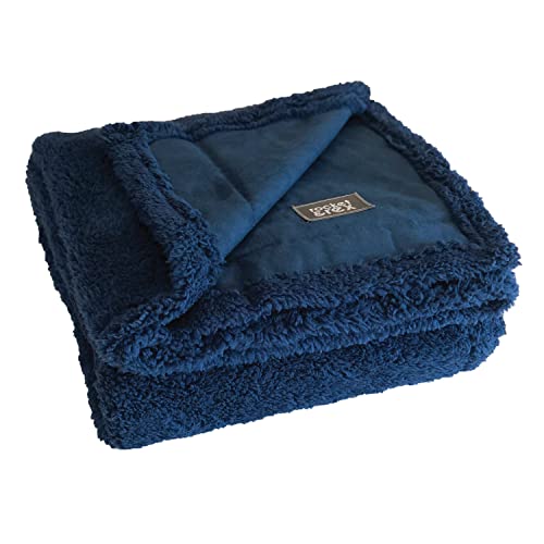 Rocket & Rex Waterproof Dog Blankets For Dogs | For Large Dogs | Protects Bed, Couch, & Sofa | Premium Extra Soft Fleece Fabric | Reversible Faux Suede | Waterproof Middle Layer #TOP2
