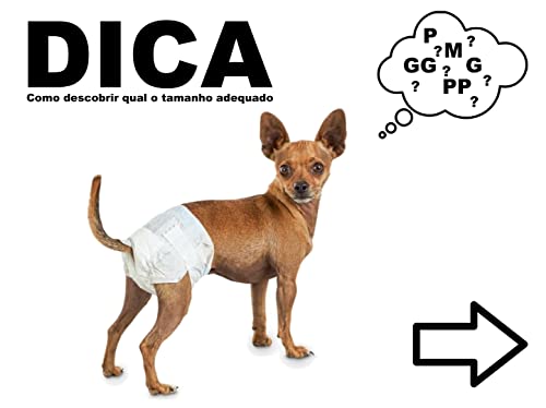 Eco Fralda Absorvente para Fêmeas - M 24 Unidades