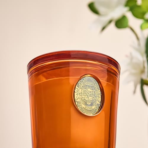MSENSE-Natural-Soy-Wax-Orange-Goji-Scented-Aromatherapy-Candle-Gift-for-Women-and-Men-92-oz-50-Hours-Burn-Time-Neon-Orange-Luxury-Home-Scented-and-Home-Decor MSENSE Natural Soy Wax Orange Goji Scented Aromatherapy Candle Gift for Women and Men 92 oz 50 Hours Burn Time Neon Orange Luxury Home Scented and Home Decor