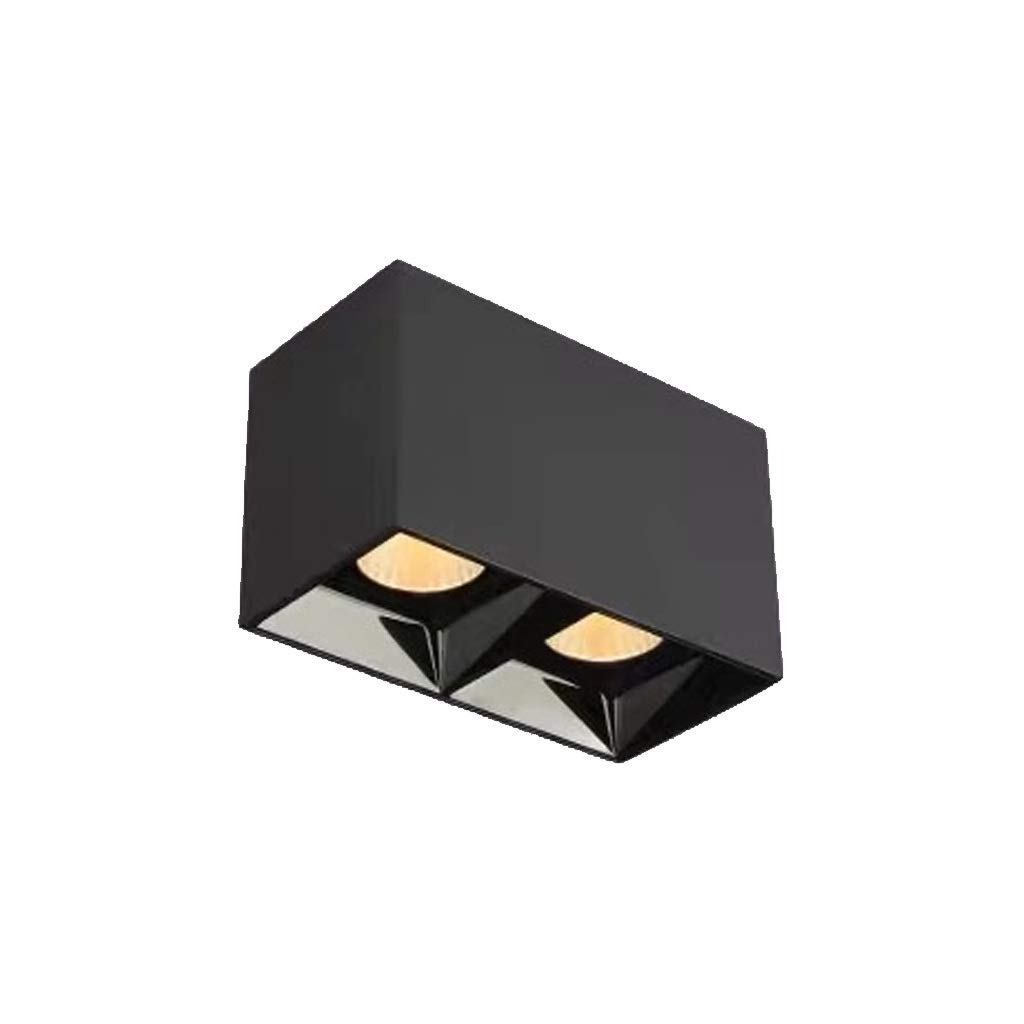 HynJGih LED Spotlight Wall-Mounted Downlight Ceiling Lamp Living Room Wall Ceiling Corridor Aisle Lights(Black Natural Light,L-24w)