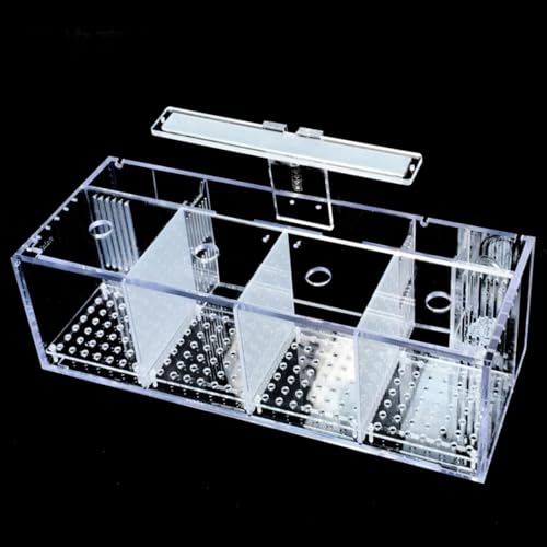 RUNCAN ANf ~jfXNgbv x^ {ELbg EH[^[|v LEDCgt ȏzԃ^N aC̋u (4Obh)