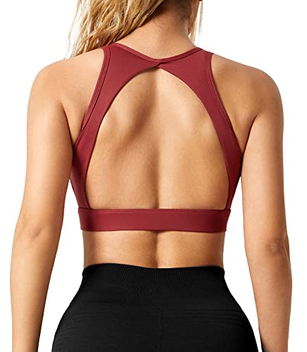ZAAYO Damen Sport BH Nahtloser mit Polstern Leichtes Backless Joggen Yoga...
