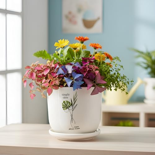 Image of Xtore Ceramic Planter with Drainage Tray | Minimal Botanical Print Flower Pot for Home, Study Table, Office Desk & Window Decor - (White, 1 Piece, Planter ONLY)