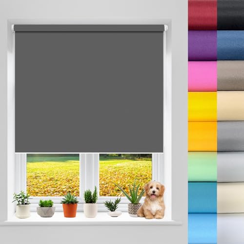 Thermal Blackout Roller Window 40 x 190 cm Blinds Curtains, Suction Cup Roller Blind Thermal Insulated,UV Protec, Made to Measure for Indoor/outdoor/garden, Dark Grey