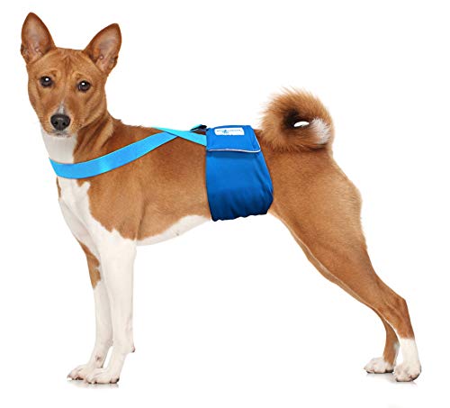Image of PAW Inspired Dog Diaper Suspenders, Blue, Medium /Large | Stretchy Adjustable Straps, Velcro Closures, For Female and Male Disposable and Washable Diapers