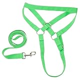 Contrôle efficace de la longe : les licols pour vaches et chevaux avec corde assurent une contention fiable, idéale pour mener ou dresser en toute sécurité les grands animaux de ferme vifs