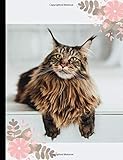 Maine Coon Cat Composition Notebook: School Composition Notebook 100 Pages Wide Ruled Lined Paper