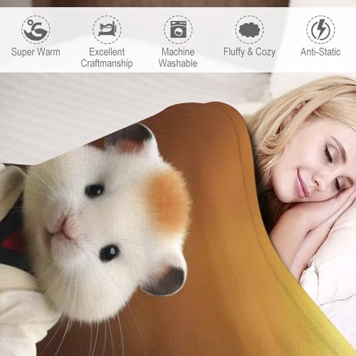 Couverture polaire plaid hamster super douce pour réchauffer vos nuits - 4