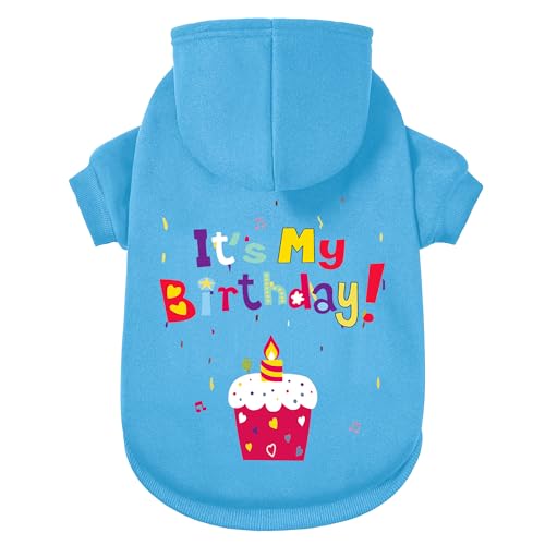 GreenJoy hbOZ[^[ hbOp[J[ hR[g t[htXEFbgVc qALA^^p(u[(It's My Birthday)AXS)