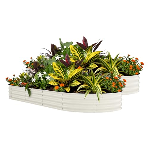 GarveeLife 2 Pcs Raised Garden Beds Outdoor 8x4x1.5 ft - Galvanized Steel Planter Box for Vegetables, Flowers, Rust-Resistant, Easy Assembly Raised Beds, Durable Planters for Outdoor Plants, Beige