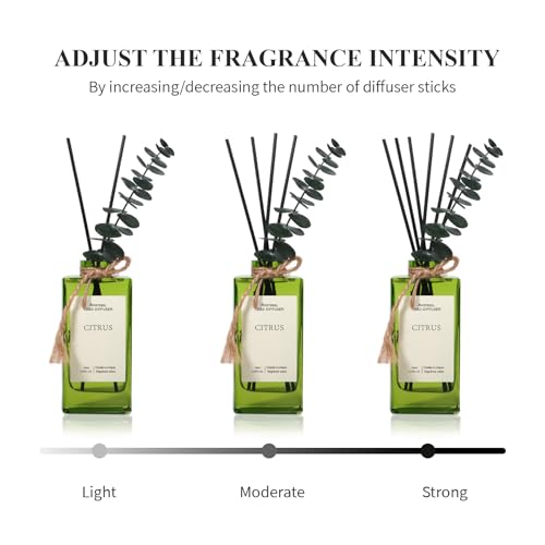 Ambientador Citrus con varillas y hojas de eucalipto 150ml miniatura 4