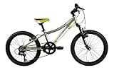 Benotto Bicicleta Montaña SERENGUETI R20 6V. Niño Frenos V Aluminio Plata/Negro Talla:UN