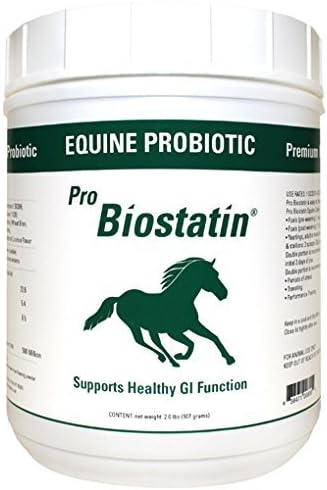Probiostatin 2 Lb. Probiotic by GLC