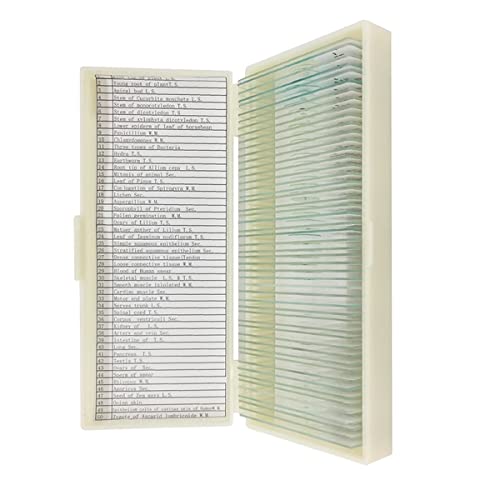 Lbg 50ނ̌́Aw̐wI̕׋̂߂̃KXXCh܂ YA_v^[