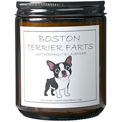 BOSTON TERRIER FARTS