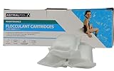RASMACOR | Floculante en Cartuchos para Piscina | Astraal 11390 | Sirve para Piscinas de flitro de Vidrio y de Arena | Clarificante para Aguas turbias | Agua cristalina (Caja 8 saquitos (8x125g))