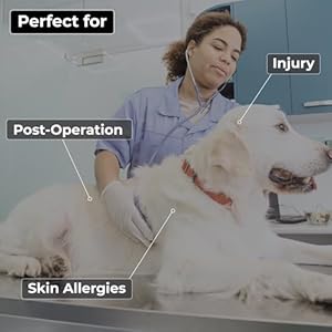 Shark Theme Inflatable Dog Cone Collar large for After Surgery Care Bundled with Pump and Extra Tube  Cucciolini Doodles Shark theme inflatable dog cone collar large for after surgery care bundled with pump and extra tube   cucciolini doodles