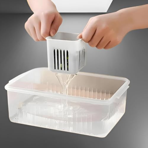 Image of 6-Grid Plastic Fridge Storage Boxe with Lid Freezer Containers Kitchen | Vegetable, Ginger, Garlic Removable Drain Plate & Airtight Lid | Transparent & Space-Saving, BPA-Free Food Box