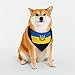 Ukraine Coat of Arms Flag Pet Scarf Washable Adjustable for Dogs Cat Pet