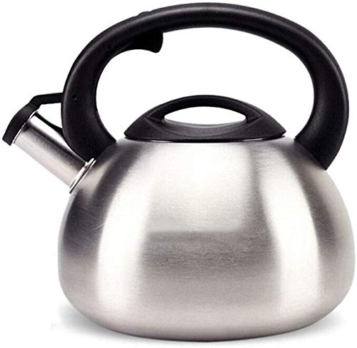 Bouilloire induction SHISHI en inox pour vos matins calmes en famille